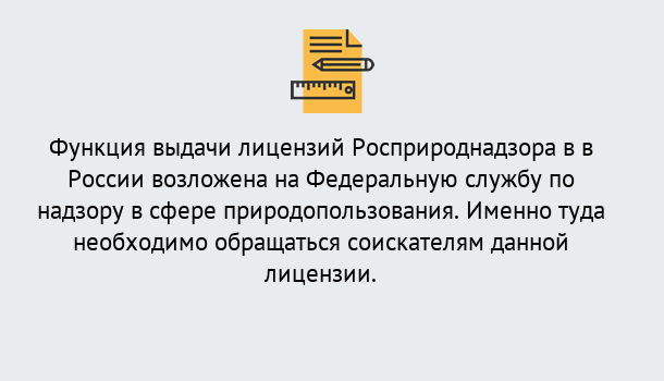 Почему нужно обратиться к нам? Корсаков Лицензия Росприроднадзора. Под ключ! в Корсаков