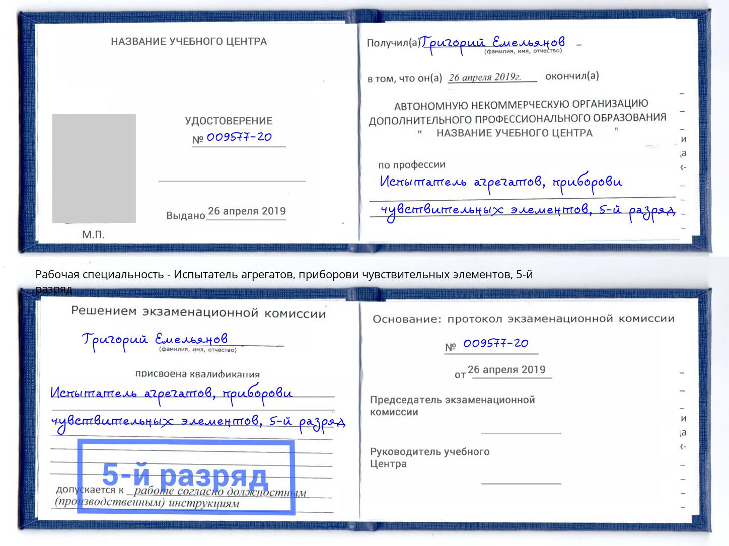 корочка 5-й разряд Испытатель агрегатов, приборови чувствительных элементов Корсаков